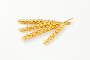 Golden Wheat Ears Isolated on White Background. Package Design Element
