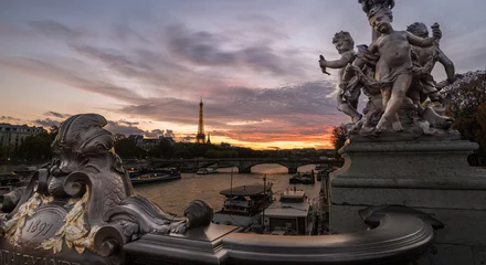 Foto op Plexiglas Pont Alexandre III Alexander III bridge at night