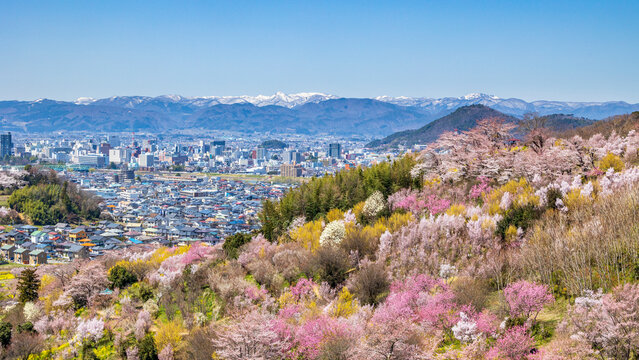 福島市の街並みと花見山　絶景