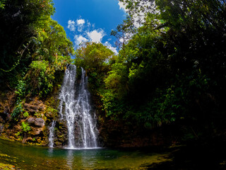 Obraz premium View of a waterfall hidden in a forest located in Mauritius