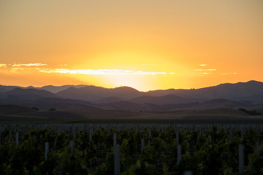 Central California Sunsets