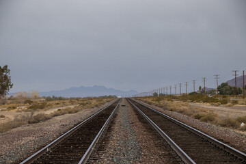 Desert Drives Through the Mojave