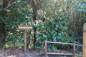 森林浴の遊歩道の入り口
