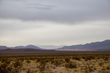 Desert Drives Through the Mojave