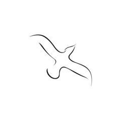 Seagull icon template vector design
