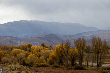 Fall in the Eastern Sierra