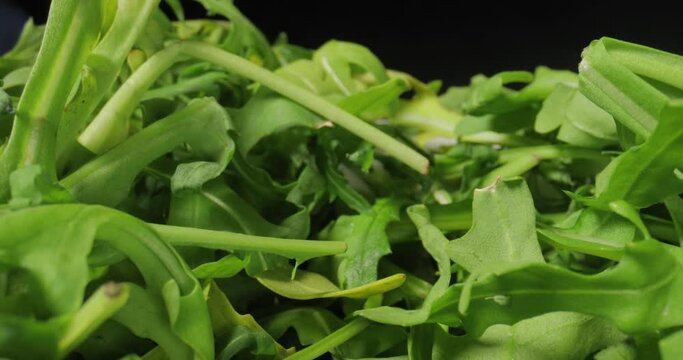 Fresh green salad macro with probe lens