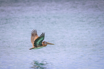 St. Thomas, United States Virgin Islands