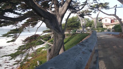 Promenade path, walkway, trail or footpath, ocean sandy beach in Carmel, Monterey, California coast USA. Sea water waves crashing on shore. Waterfront beachfront pine cypress trees. Pathway or footway