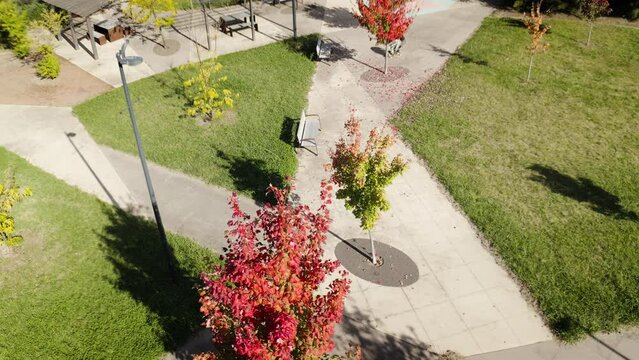 Aerial drone shot overlooking a man skateboarding along a concrete pathway through a park setting with Autumn coloured trees and green grass. Filmed in an urban setting in Australia.
