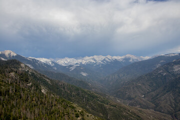 Fototapeta na wymiar Sierra Nevada Views in Sequoia