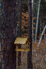 bird house on a tree