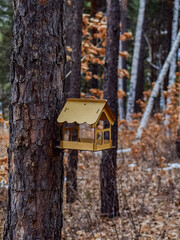 birdhouse on a tree