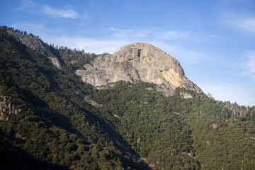 Fototapeta na wymiar Enjoying the Sierra Nevadas from Sequoia
