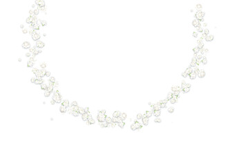 カスミソウフレーム（白）