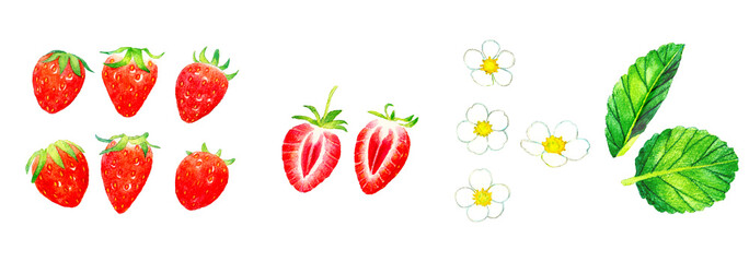 イチゴの果実・花・葉っぱの水彩イラスト素材集　フルーツの手描きイラストセット