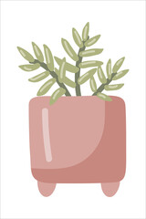 Vector isolated element. Houseplant. Succulent. A flower in a pot. Color image on a white background. The print is used for packaging design.