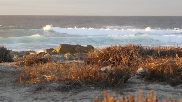 Rocky craggy pacific ocean coast, sea wave crashing, 17-mile drive, Monterey California USA. Dramatic sunset nature near Point Lobos, Big Sur, Pebble beach. Birds flying. Seamless looped cinemagraph.