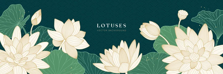 Foto op Canvas Vector background with white lotuses and green leaves. Luxury design template with golden line lily. Nelumbo nucifera flower for banners, invitations, cover and packaging design. Chinese style © Valedi 