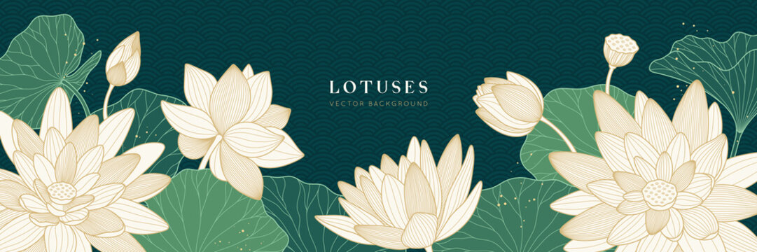 Vector background with white lotuses and green leaves. Luxury design template with golden line lily. Nelumbo nucifera flower for banners, invitations, cover and packaging design. Chinese style