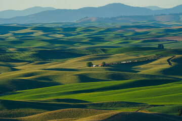 steptoe butte state park in Washington