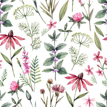 Watercolor hand painted seamless pattern with wildflowers and herbs. Botanical elements, mint, echinacea, clover, and other wild plants background. Texture for fashion fabrics, home textiles, wrapping
