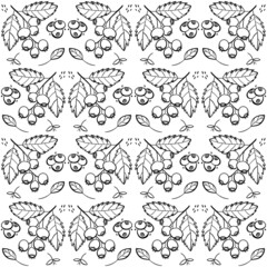 Sweet shadberry or blueberry repeating pattern. Seamless texture with wild berries. Fresh summer motives in black