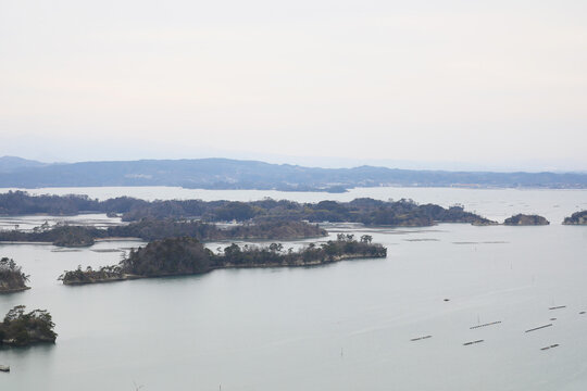 大高森 Images Browse 144 Stock Photos Vectors And Video Adobe Stock