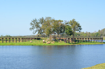 Fototapeta premium Wooden walkway over lake at Maepuem national park at Phayao province of Thailand