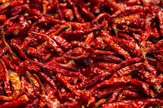 Dried Red Chili Peppers