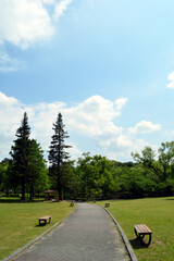 A park without people in the morning, the sun shines brightly on trees and the ground, and there are clouds in the blue sky.