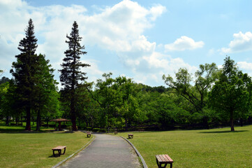 A park without people in the morning, the sun shines brightly on trees and the ground, and there are clouds in the blue sky.