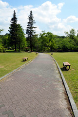 A park without people in the morning, the sun shines brightly on trees and the ground, and there are clouds in the blue sky.