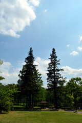A park without people in the morning, the sun shines brightly on trees and the ground, and there are clouds in the blue sky.