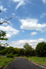 A park without people in the morning, a walking path surrounded by trees and grass with fresh green leaves.