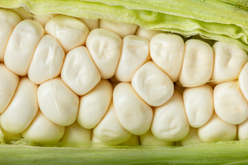 Delicious white fresh corn as background, close up, macro shooting