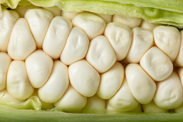 Delicious white fresh corn as background, close up, macro shooting