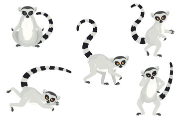 Cartoon lemur catta set © AnnaPa