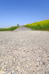 春の江戸川河川敷の松戸水門に続く砂利道