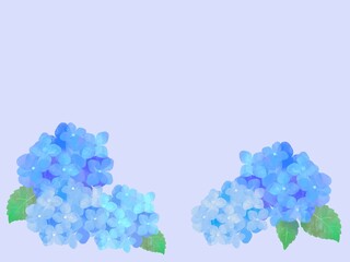 紫陽花の背景素材　あじさい　梅雨　