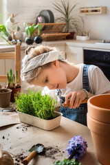 little girl transplants flowers and houseplants. a child in a bandana plants bulbs and microgreens.
