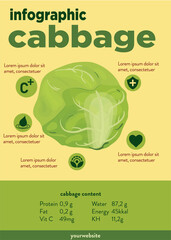Cabbage infographic template concept with four points list and icon symbol 