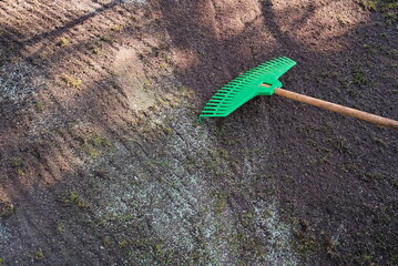 Raking grass seeds in spring in the garden - 498193322