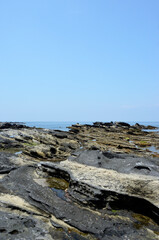 岩礁海岸  潮が引いた磯