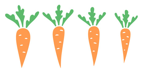 Set of carrots on white