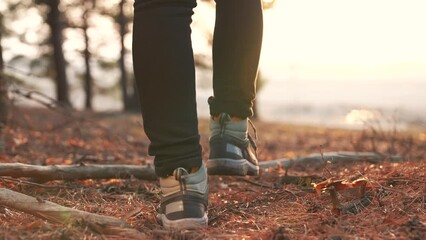 Hiking in the forest. Tourist shoes in the forest park. People travel in nature. Summer woman legs in nature park. Adventure tourist on vacation. Tourist feet in the forest park. Trekking Hiking