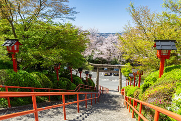 Fototapeta na wymiar 足立山妙見宮御祖神社と桜の風景　福岡県北九州市
