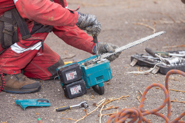 Tree surgeon. Working with a chainsaw. Sawing wood with a chainsaw.