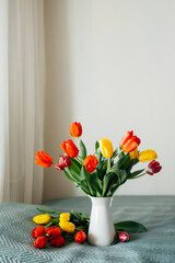 beautiful large bouquet of red and yellow fresh tulips in white jug - vase on bed in natural beautiful light. holiday card. cover for printing. selective focus