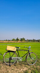 Obraz premium Slow life